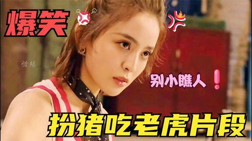 搞笑演员爆料大全最新图片,搞笑演员爆料大全最新图片集锦